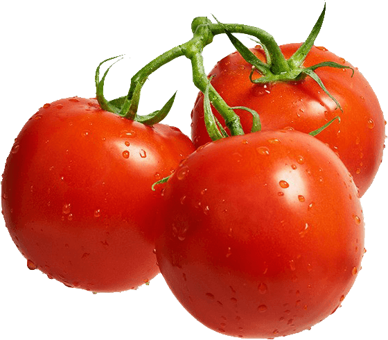 FARM%20 %20BaySaWaar