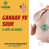 Poulet
