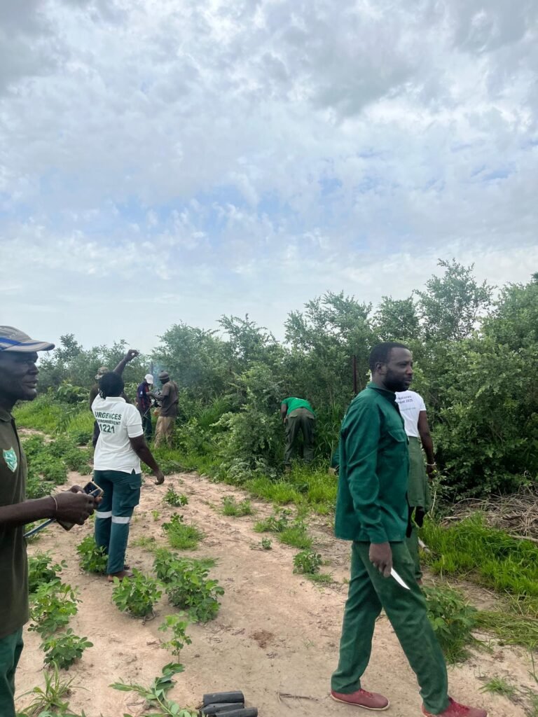 Agents des Eaux et Forêts et équipe FARM sur le site de reboisement de Minawara (Kaffrine, Sénégal)