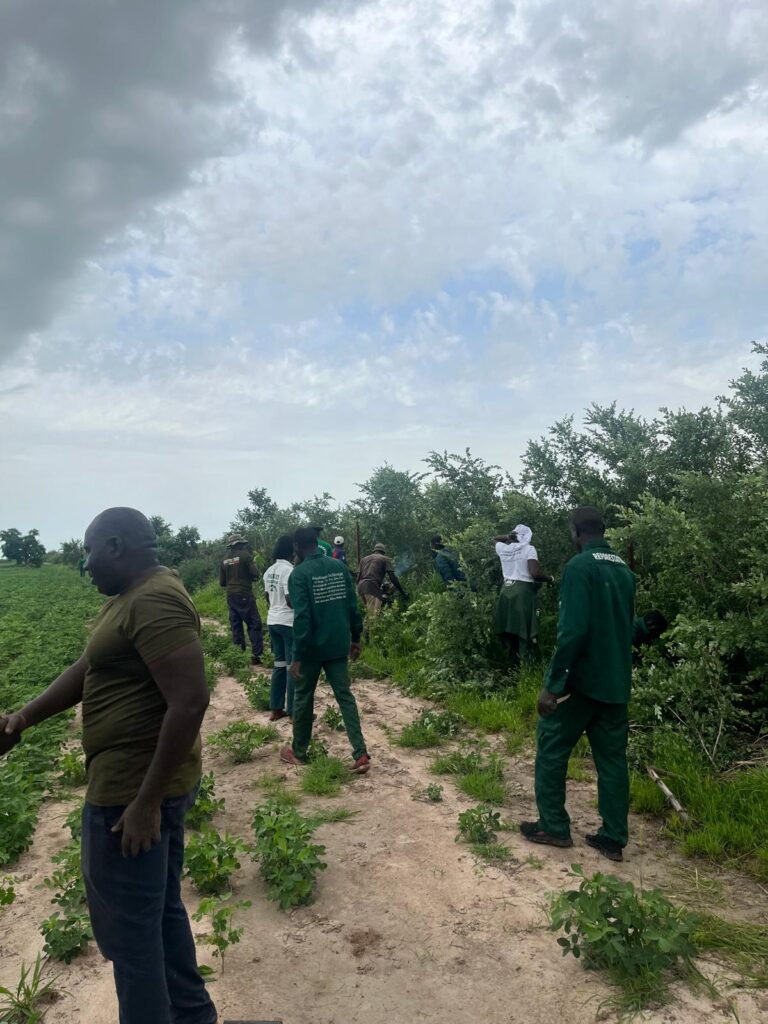 Reboisement à la ferme FARM (BaySaWaar), Minawara (Kaffrine, Sénégal)