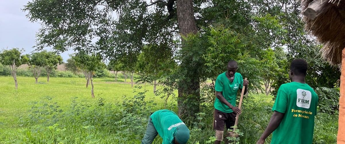 Équipe FARM en action lors de la journée de reboisement à Minawara (Kaffrine, Sénégal)