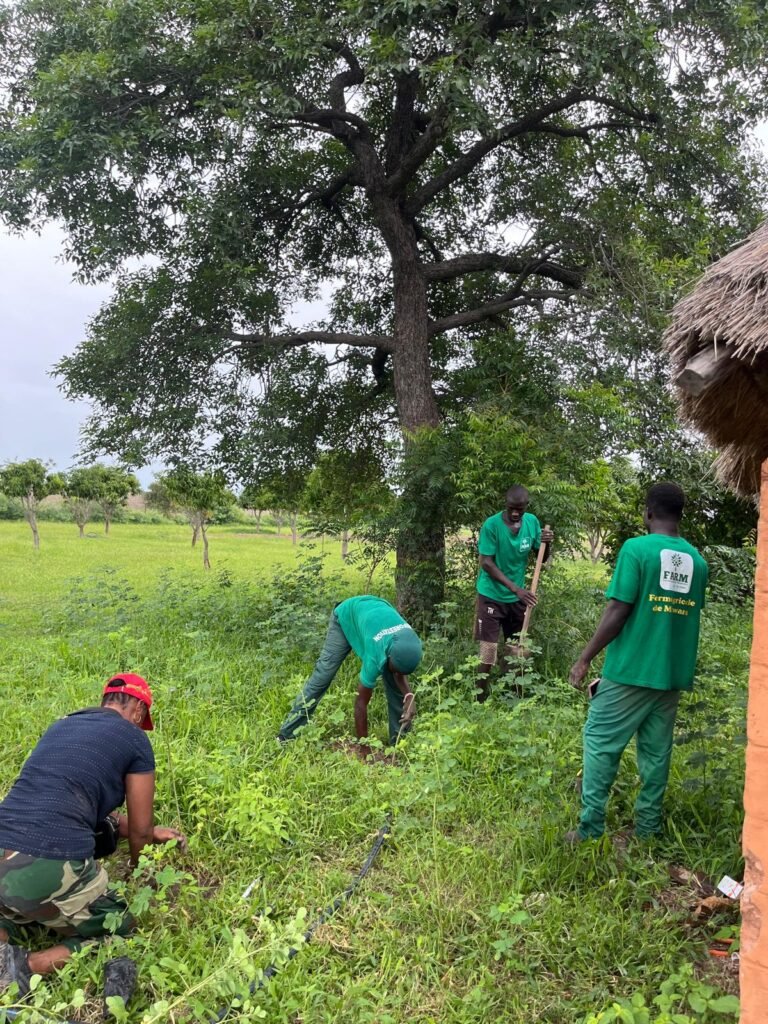 Équipe FARM en action lors de la journée de reboisement à Minawara (Kaffrine, Sénégal)